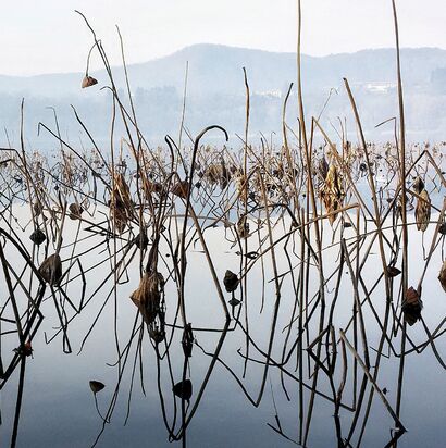 ASTRATTISMO INVERNALE - a Photographic Art Artowrk by Ferruccio Pavesi